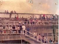 /album/galeria-de-fotos-galeria-de-fotos1/digitalizar0006-jpg/